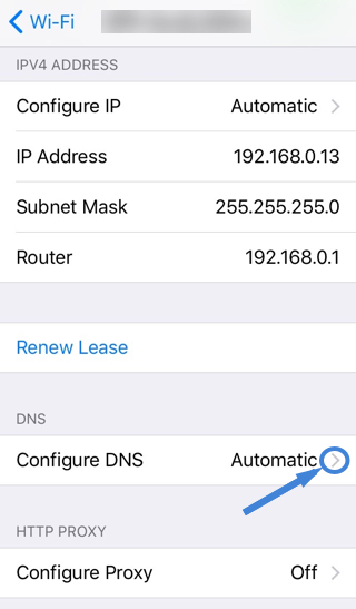 EN_iPhone_Settings_Wifi_Configure_DNS.jpg