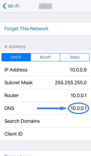EN_iPhone_Settings_Wifi_Before_DNS_Configuration.jpg