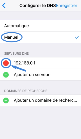 FR_iPhone_DNS_Manuel.jpg