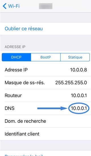 FR_iPhone_Reglages_Wifi_Avant_Configuration_DNS.jpg