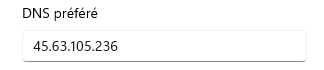 DNS_Pre_fe_re_.png