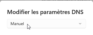 Parame_tres_DNS_Manuel.png