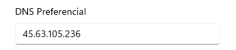 DNS_Preferencial.png