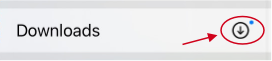 Safari_Downloads_Menu_Item.png