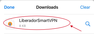 Safari_Downloads_List.png