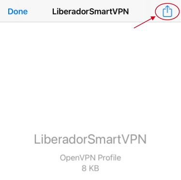 Share_SmartVPN_OpenVPN_Profile.png
