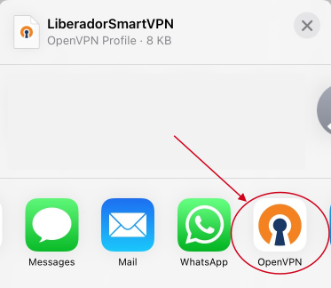 Select_OpenVPN_App.png