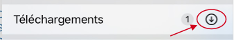 Safari_Menu_Telechargements.png