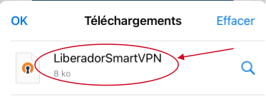 Liste_de_Telechargements.png