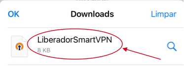 Lista_de_Downloads.png