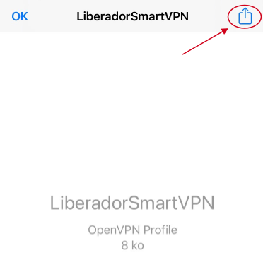 Compartilhar_Perfil_Smart_VPN.png